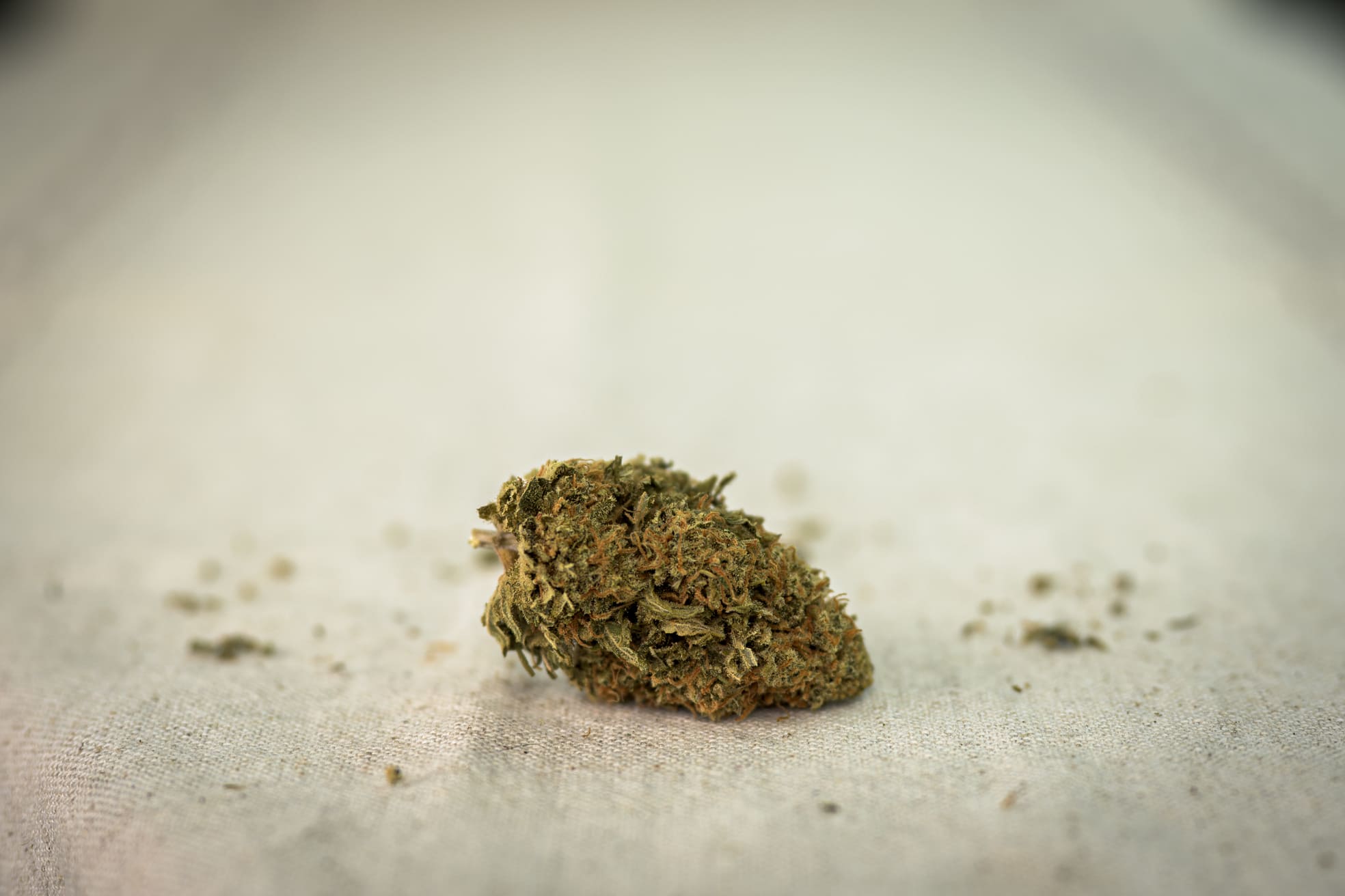 Második kép P149 fenotípus