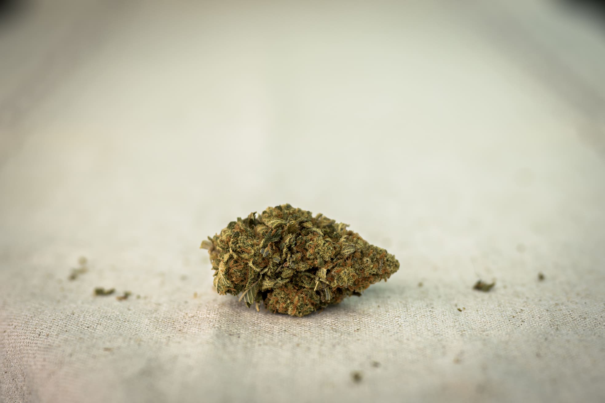 Második kép P77 fenotípus