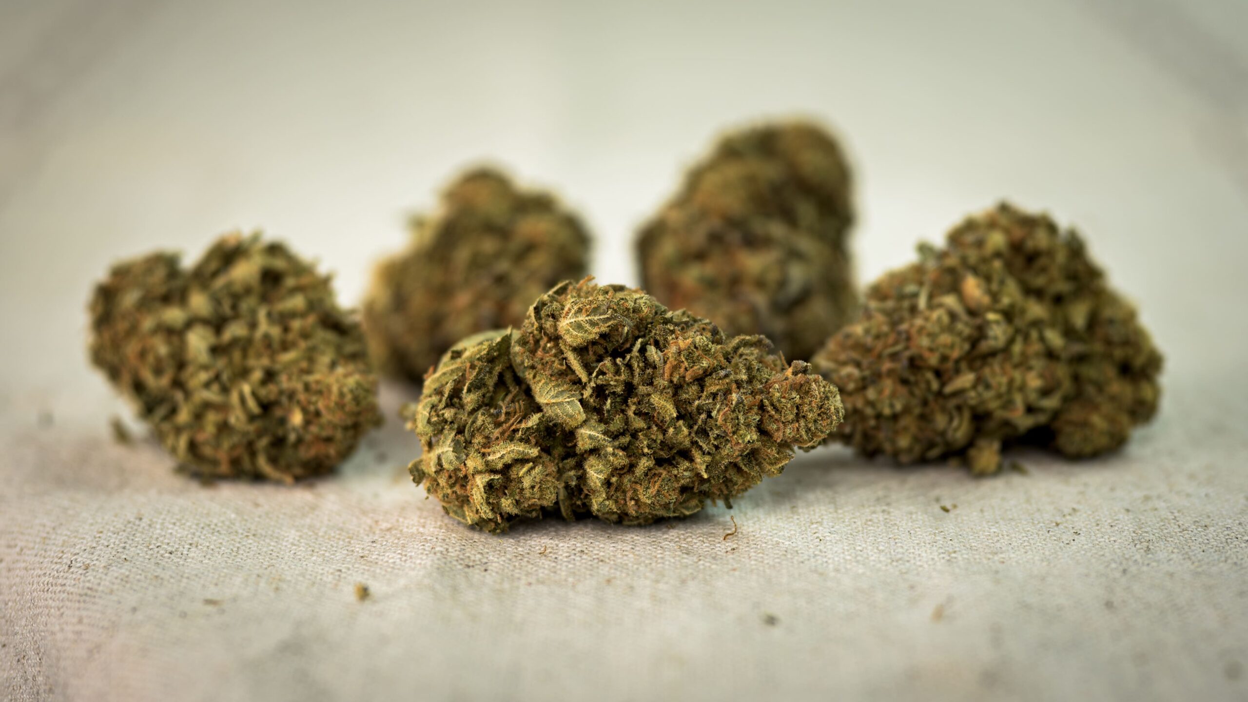 ‘5 Stars’ Cannabis CBD Flower Selection Kit