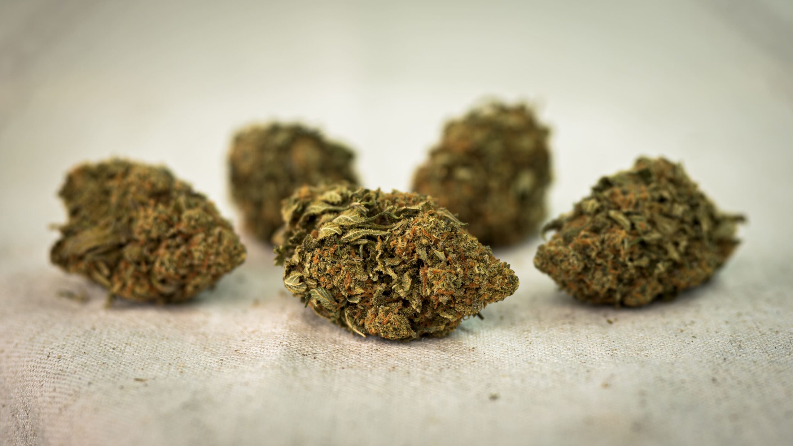 Second image of ‘5 Stars’ Cannabis CBD Flower Selection Kit