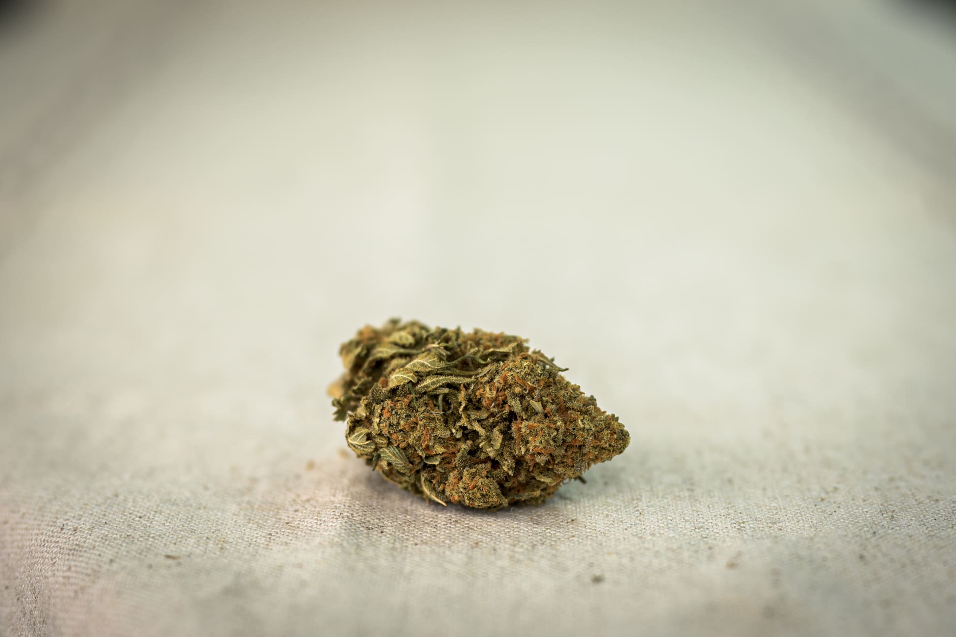 Second image of Phenotype P32