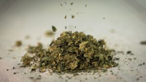 trim_4