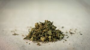 trim_5